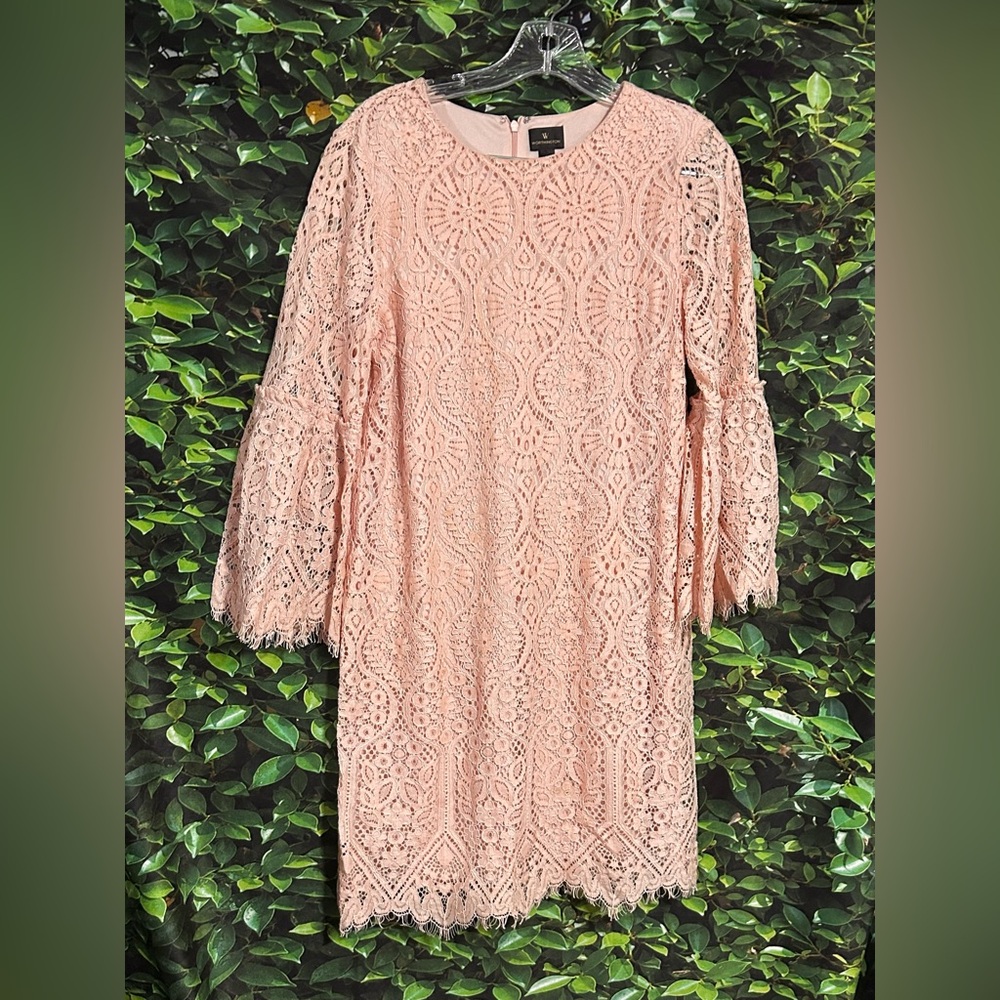 Worthington Blush Pink Lace Dress Womens Medium